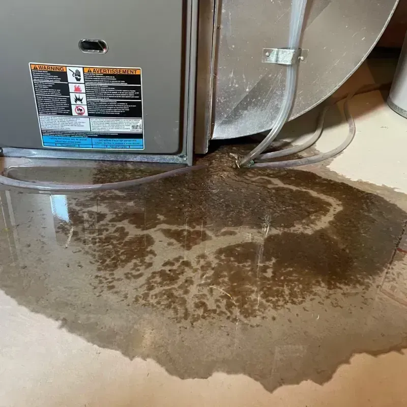 Appliance Leak Cleanup in Justice, IL